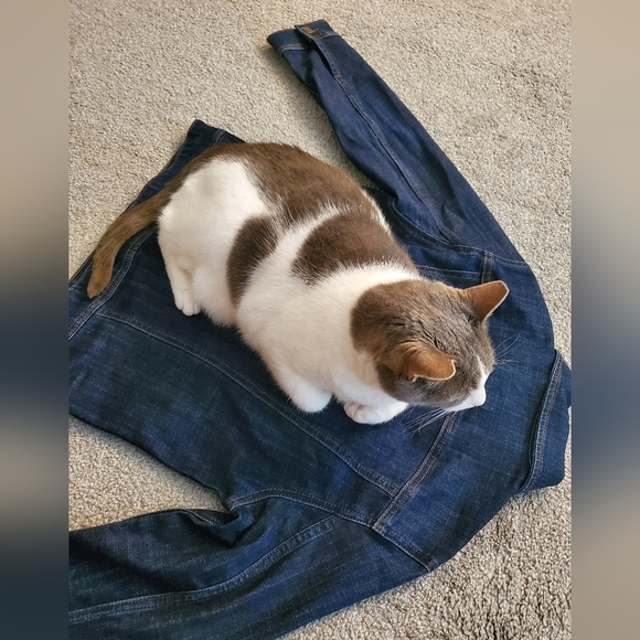 💜🖤💚 Shop my fabulous, ever growing closet! 💜🖤💚 - Picture 4 of 10